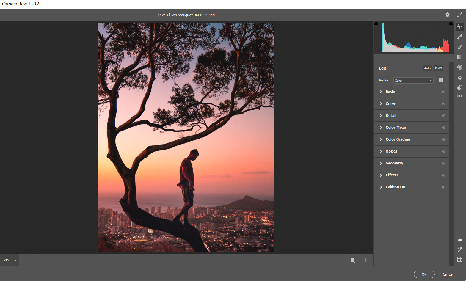 camera raw opened - Come utilizzare Adobe Camera Raw come oggetto avanzato in Photoshop
