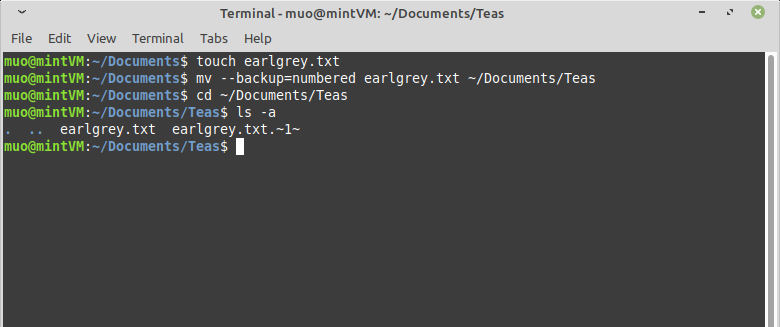 mv command backup numbered - Come spostare i file Linux con il comando Mv