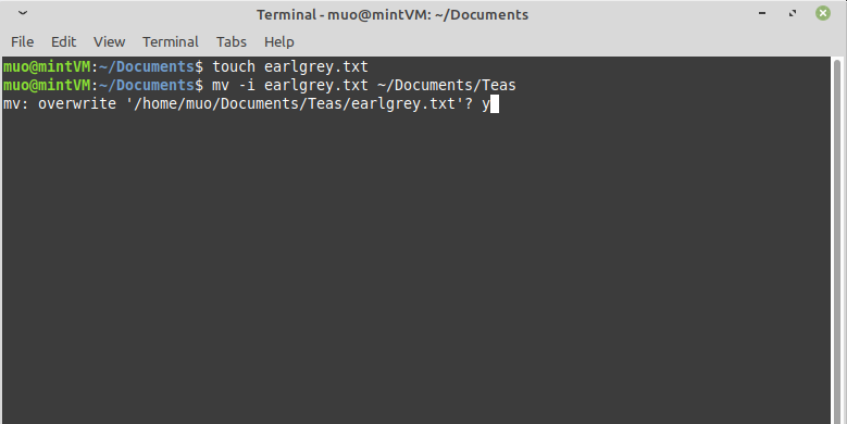 mv command interactive mode - Come spostare i file Linux con il comando Mv