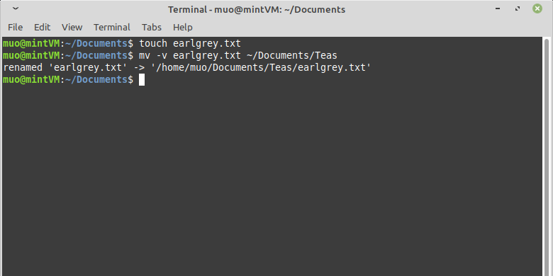 mv command verbose - Come spostare i file Linux con il comando Mv