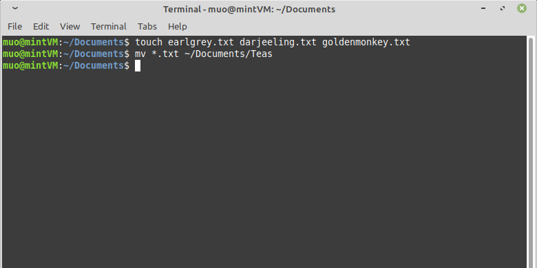 mv command wildcard - Come spostare i file Linux con il comando Mv