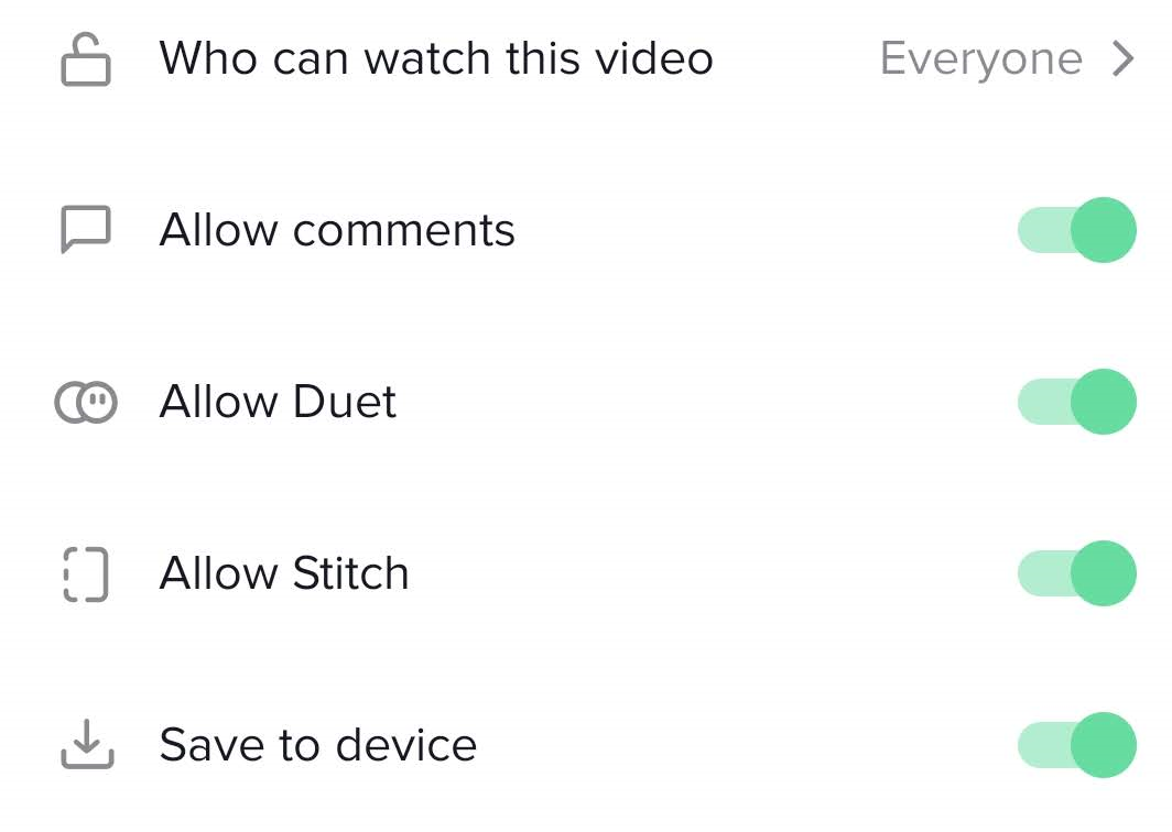 So erstellen Sie ein TikTok-Video in 7 einfachen Schritten - tiktok post privacy settings