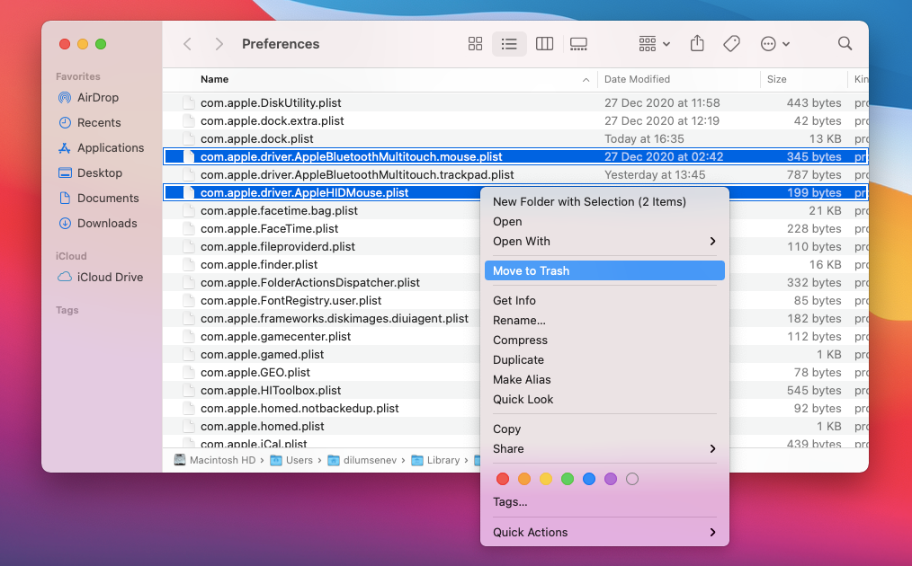 7 delete plist files - Il mouse non funziona sul tuo Mac? 10 suggerimenti per risolverlo