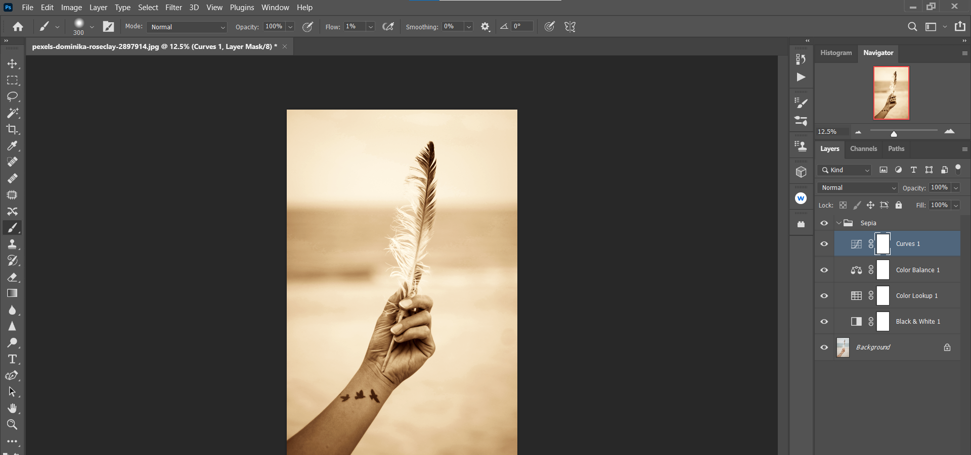 Feather - Come creare un effetto seppia personalizzato in Photoshop