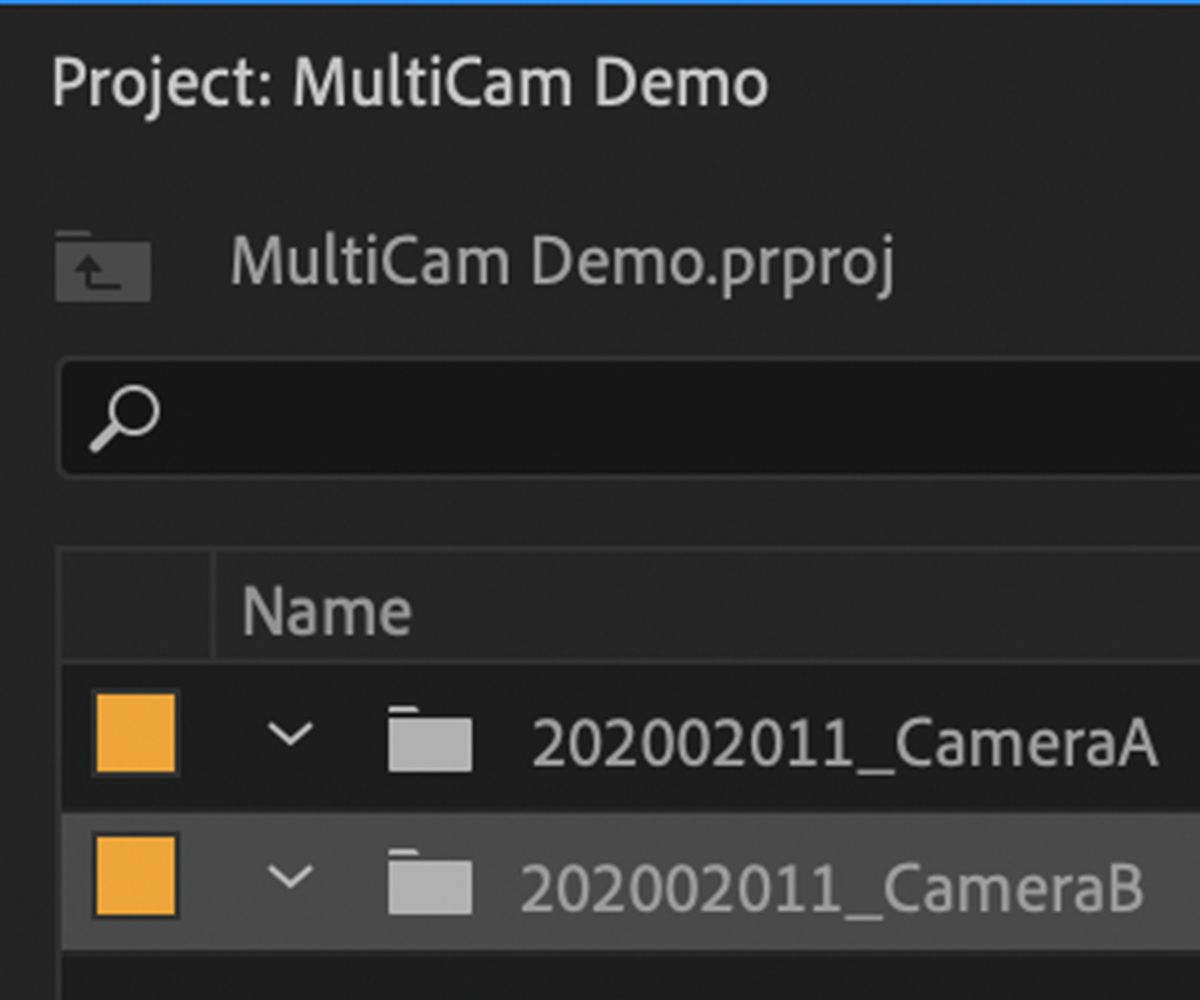 labelling bins - Come creare sequenze multicamera in Adobe Premiere Pro