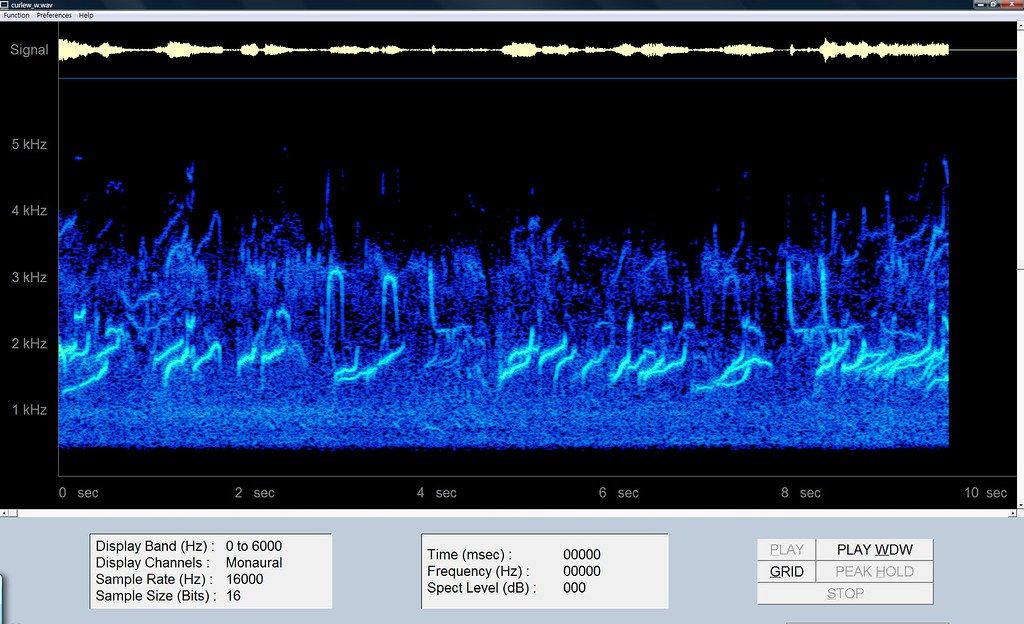 spectrogram audio fingerprint - In che modo Shazam riconosce la musica in modo accurato?